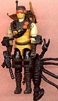 Desert Scorpion
