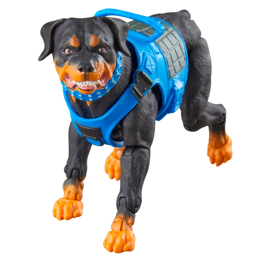 Junkyard the Rottweiler figure in a blue Mad Marauders harness with orange paws